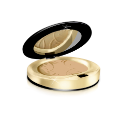 EVELINE Пудра Celebritic Beauti №23